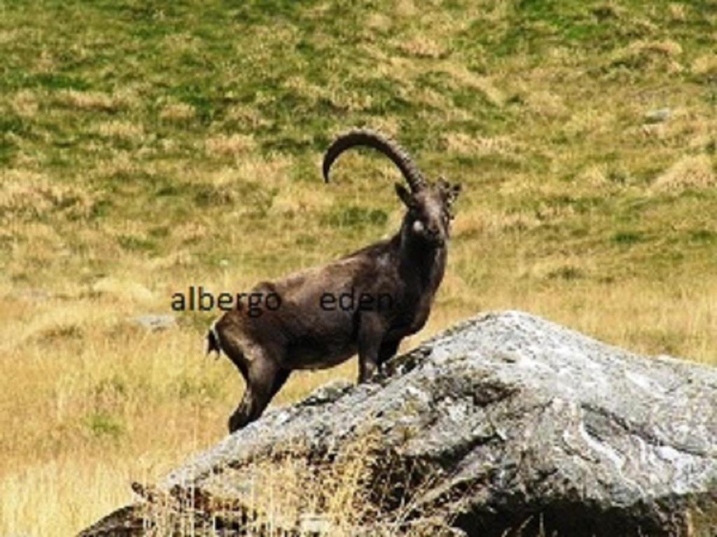 Albergo Eden ปอนเตดีเลโญ ภายนอก รูปภาพ
